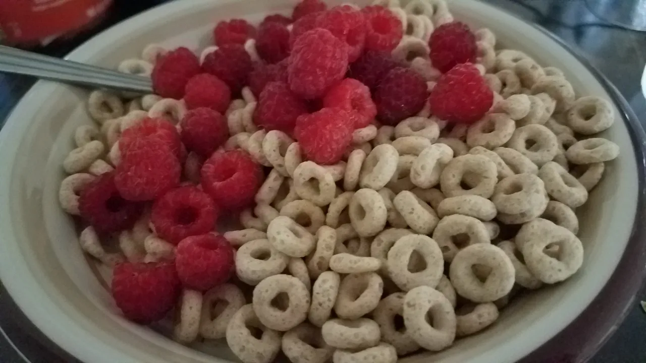 20190721_104912.jpg