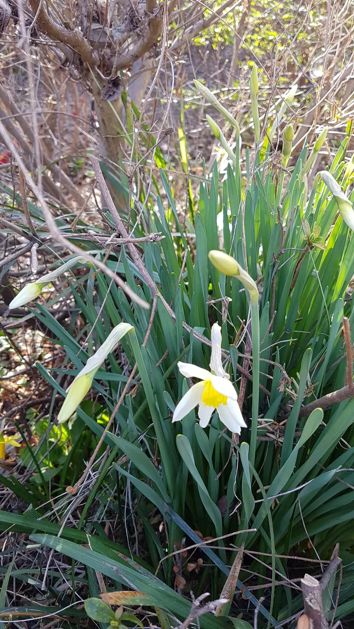 20190405_163600.jpg