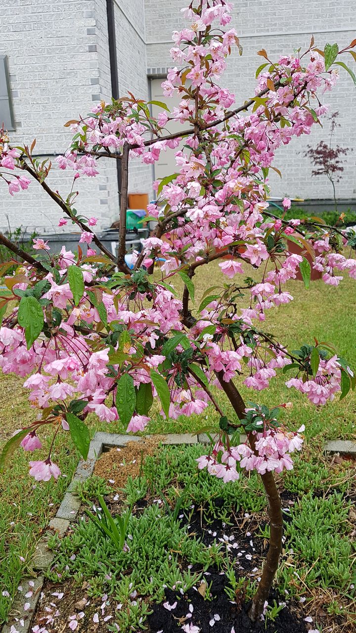 20190425_152143.jpg