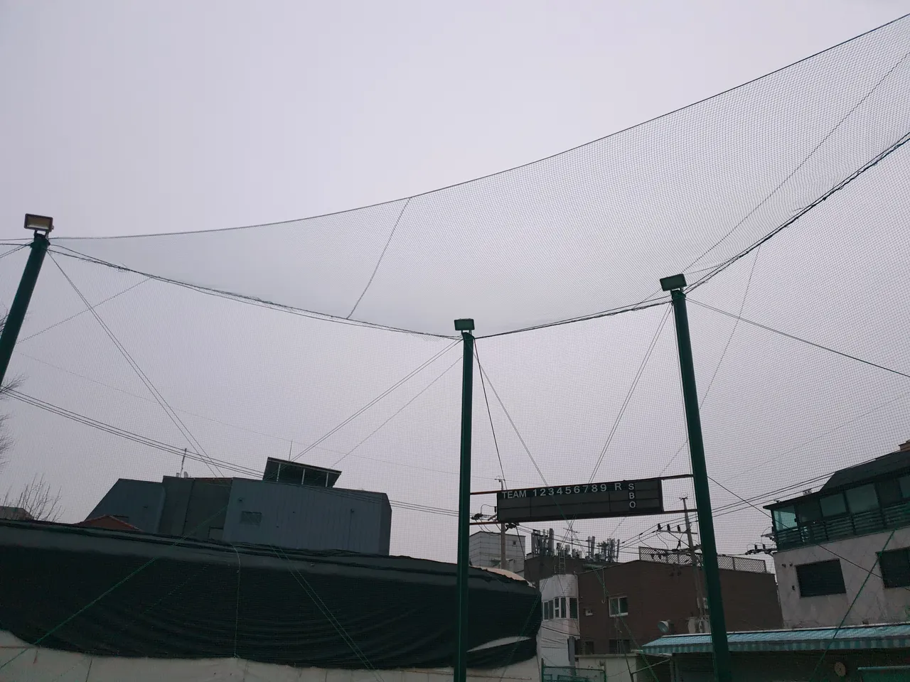 20190131_072813.jpg