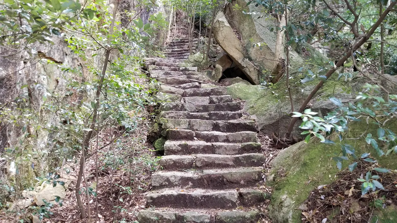 20181027_121750.jpg