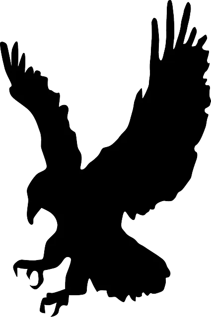 hawk-310517_640.png