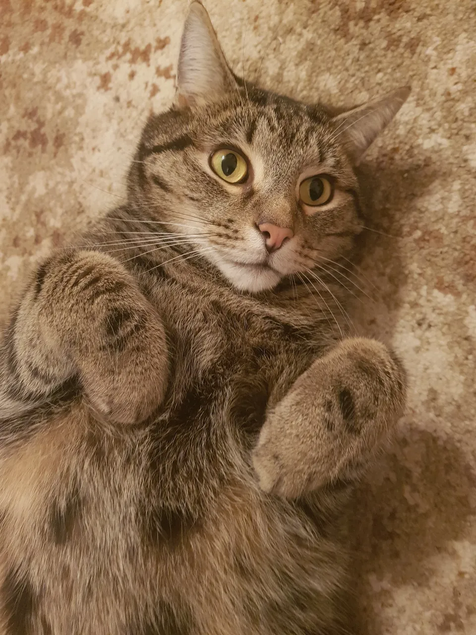 20190126_223303.jpg