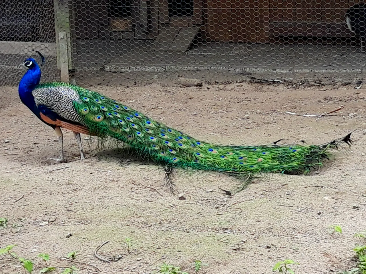 20190513_150308.jpg