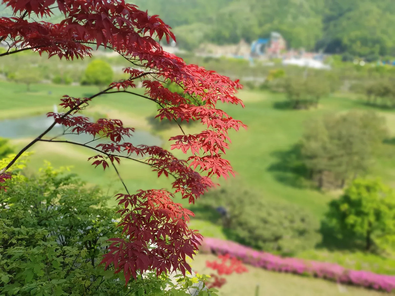20190509_144436.jpg