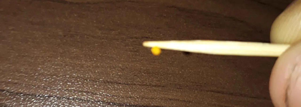 20191109_080620.jpg