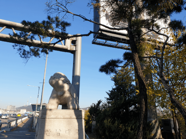 20181112_085433.gif