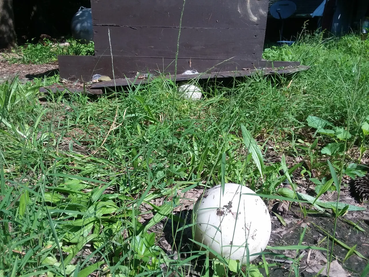 20180826_103836.jpg
