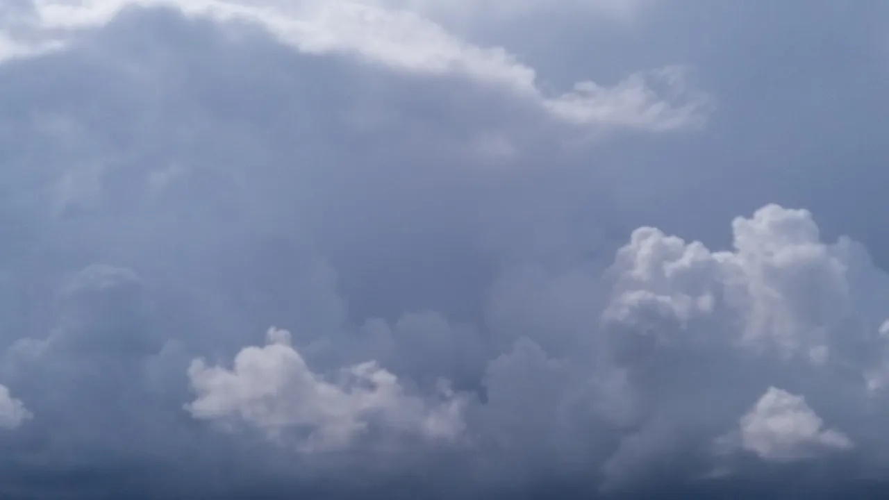 20190714_153027.jpg