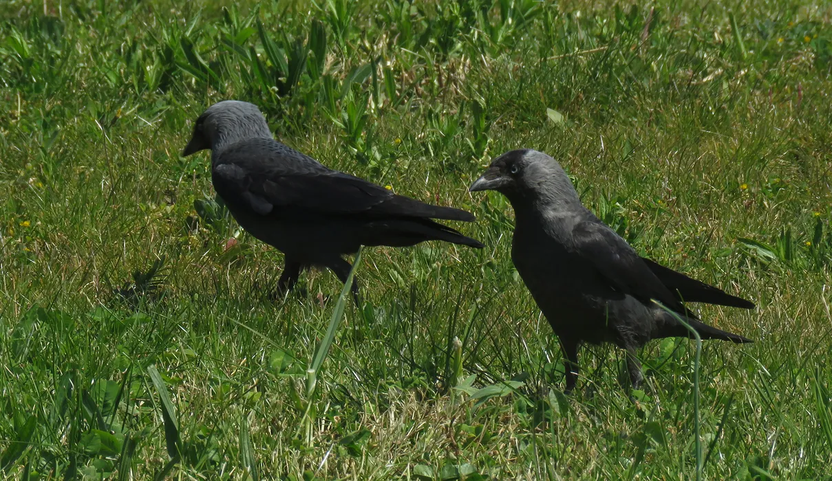 IMG_1849 malo.jpg
