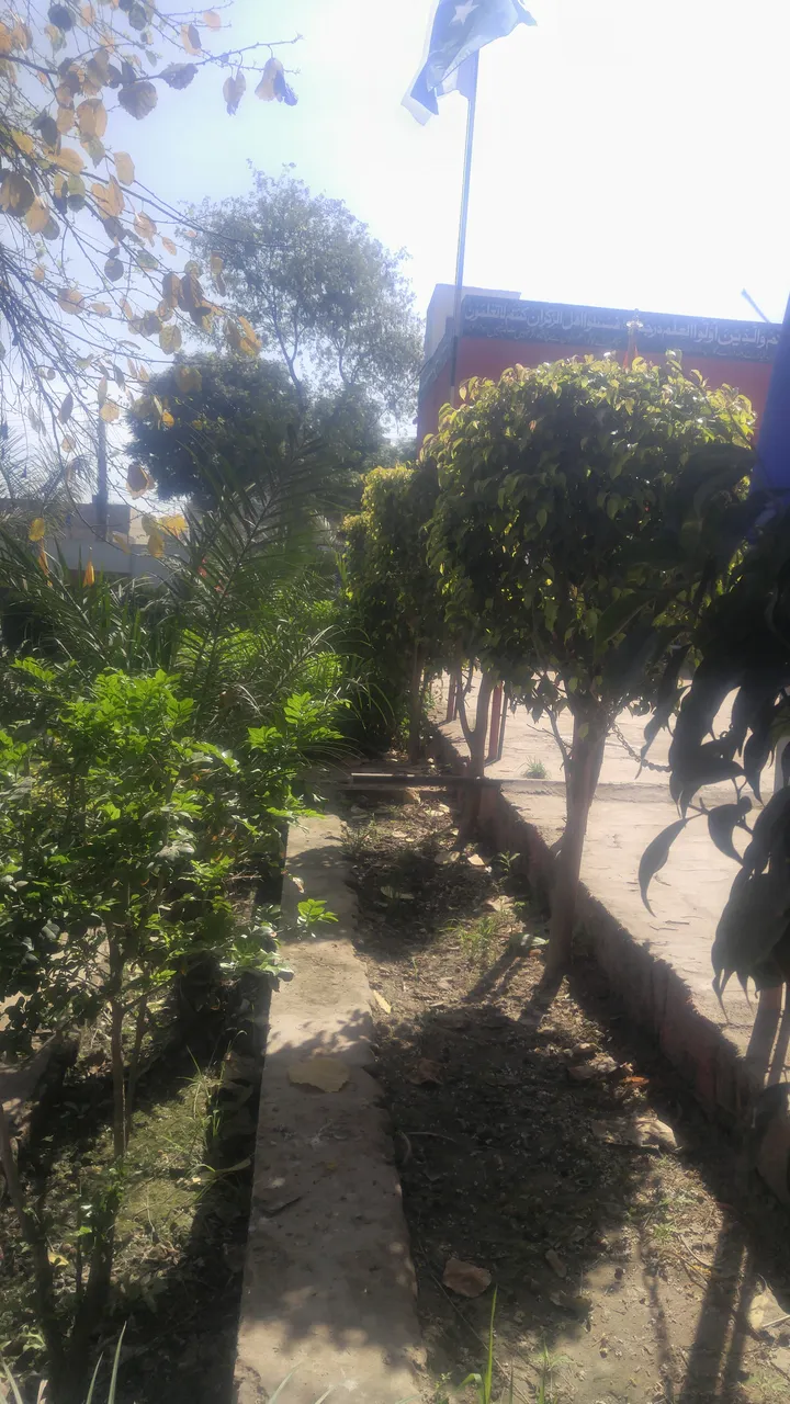 20190402_093842.jpg