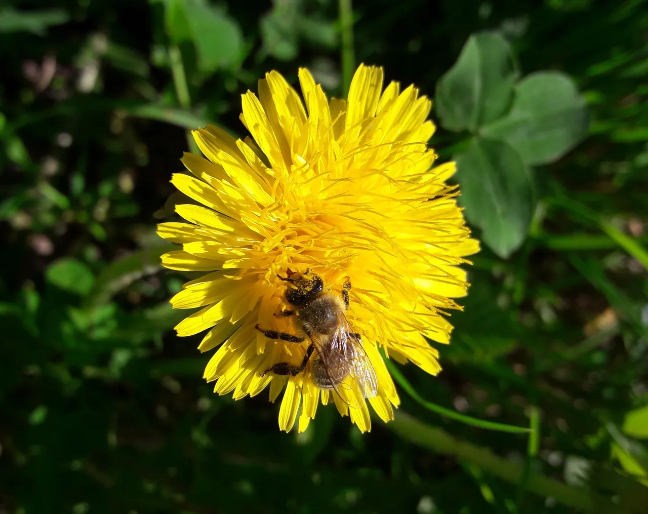 20180423_100529.jpg