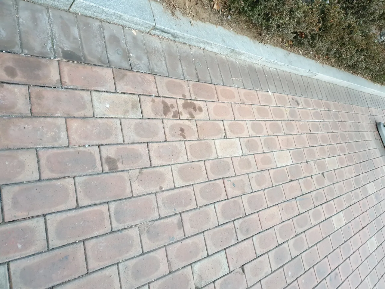 20190126_073818.jpg