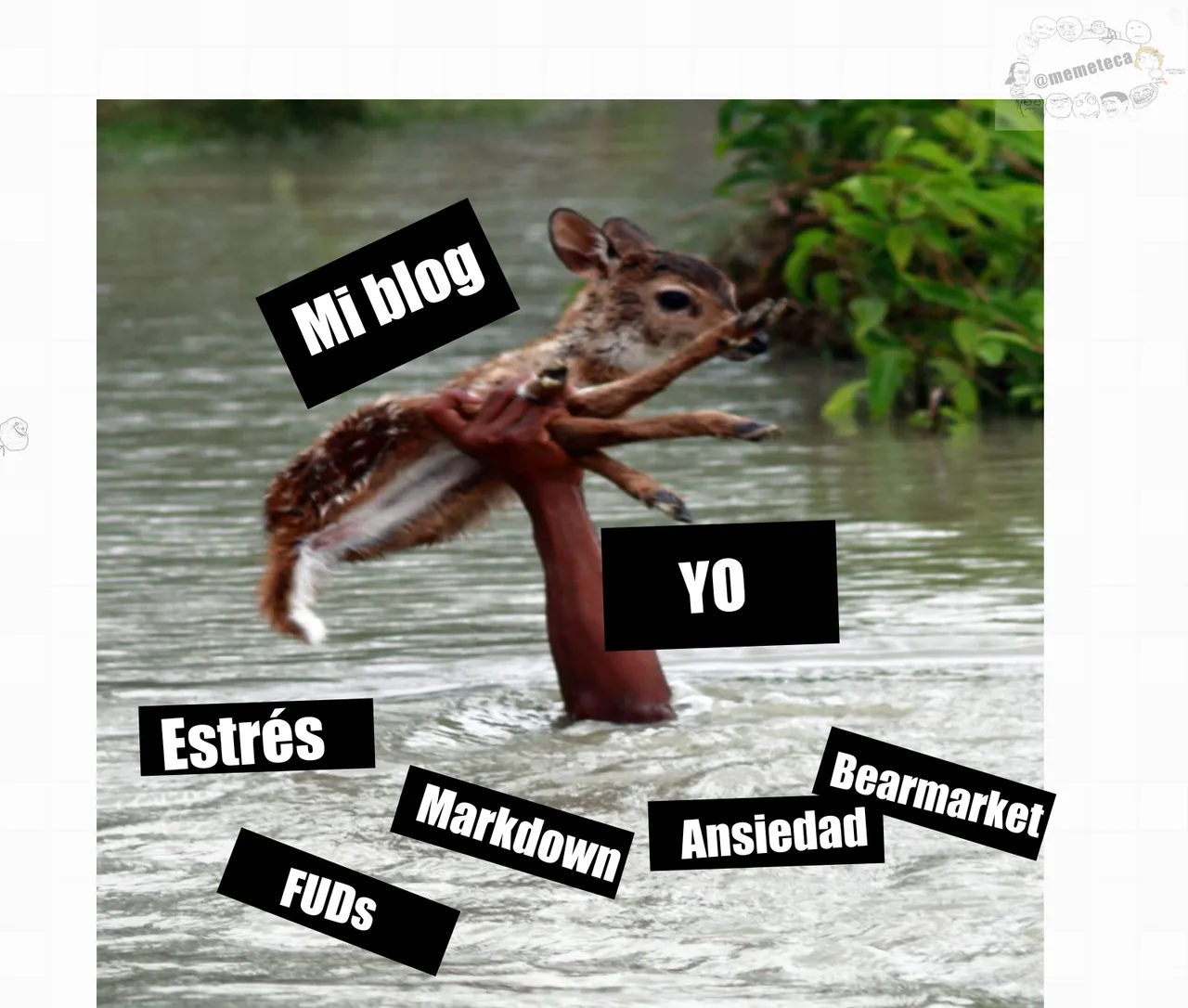 helpipei (18).png
