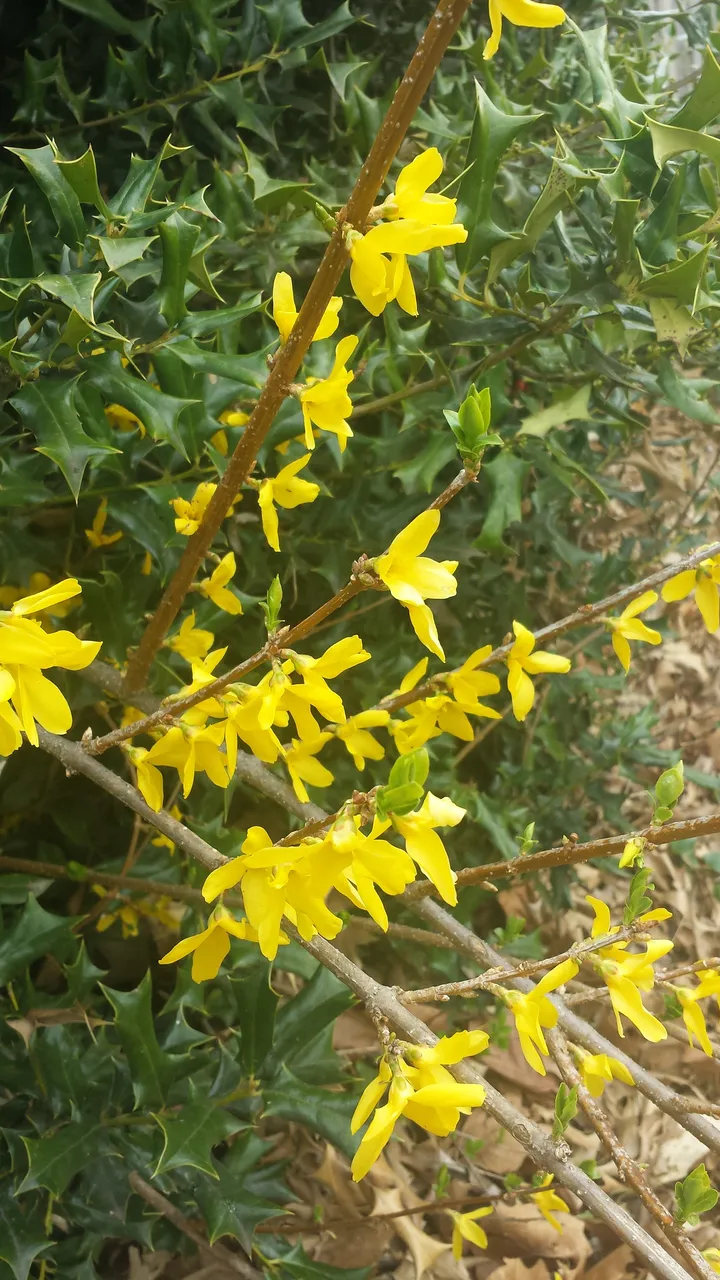 20180318_134309.jpg
