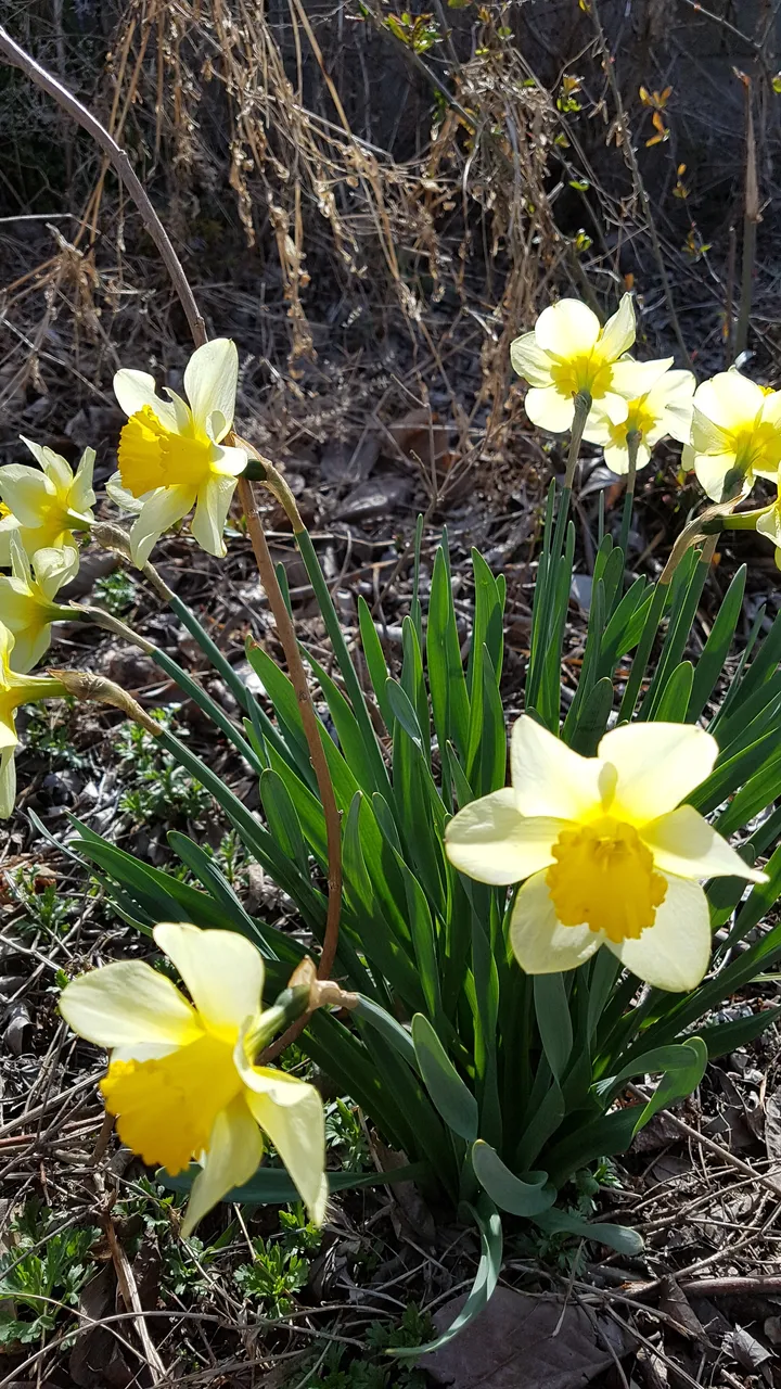 20190405_163527.jpg