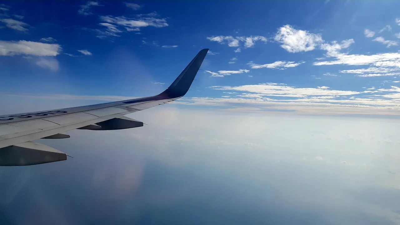 20190818_091752.jpg