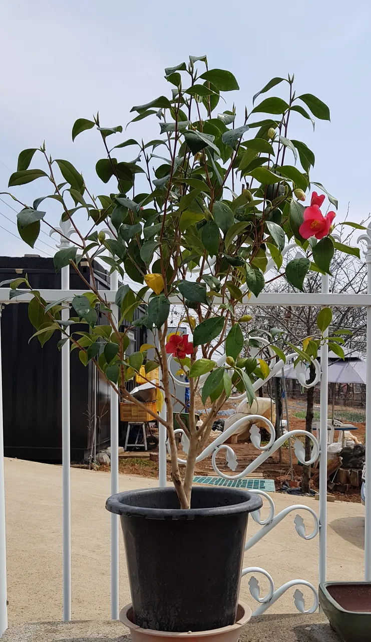 20190323_125910.jpg