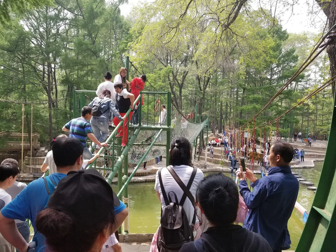 20180513_123626.jpg