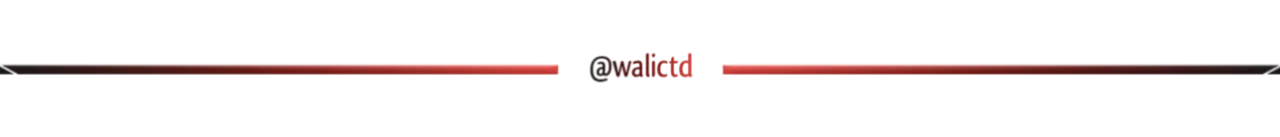 logowalictd.png