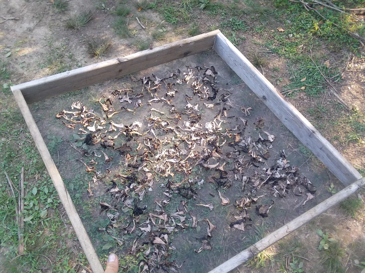 20180828_170617.jpg