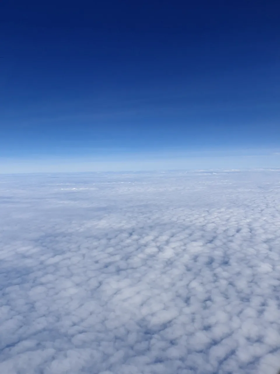 20190818_084938.jpg