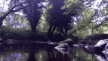 20190706_115431.gif