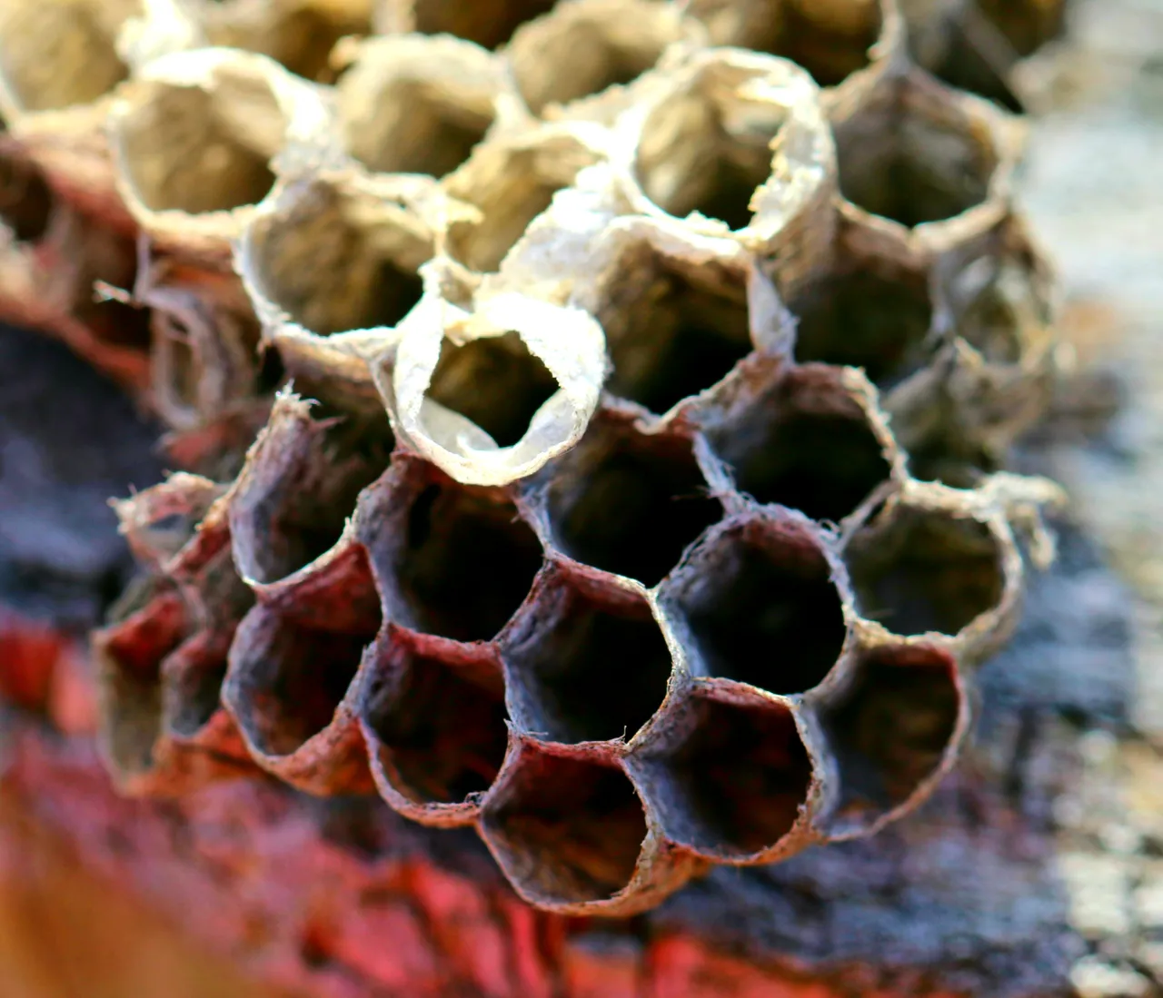 20190213_202451.jpg