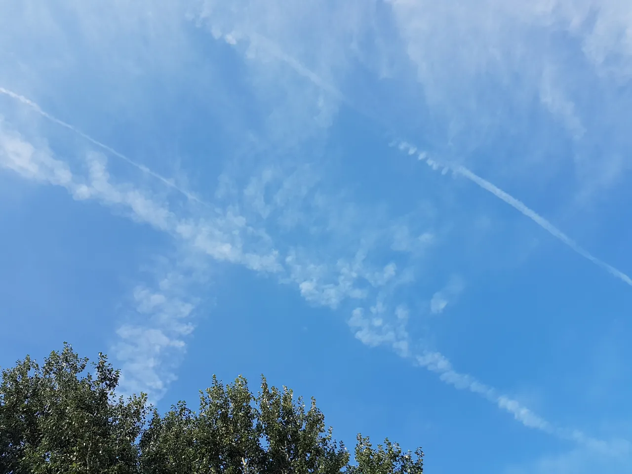 20180809_084149.jpg