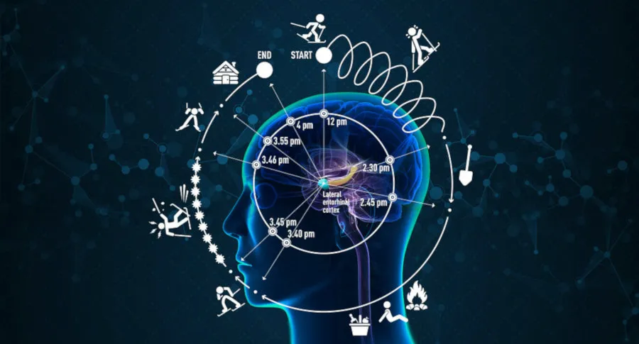 braintime_small.jpg