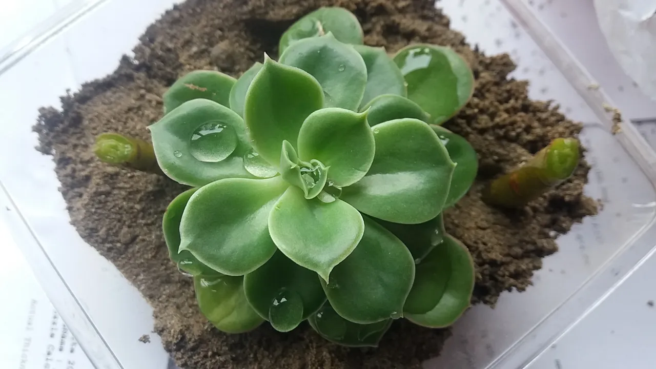 20190102_094251.jpg