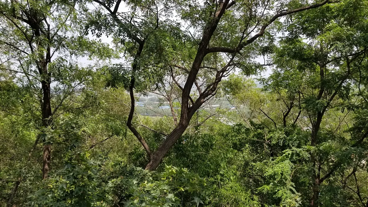 20180630_122353.jpg