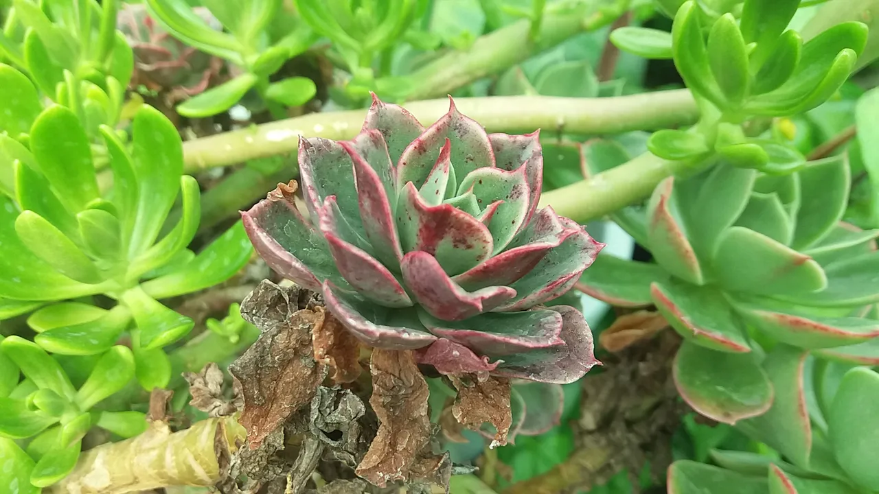 20190314_114038.jpg