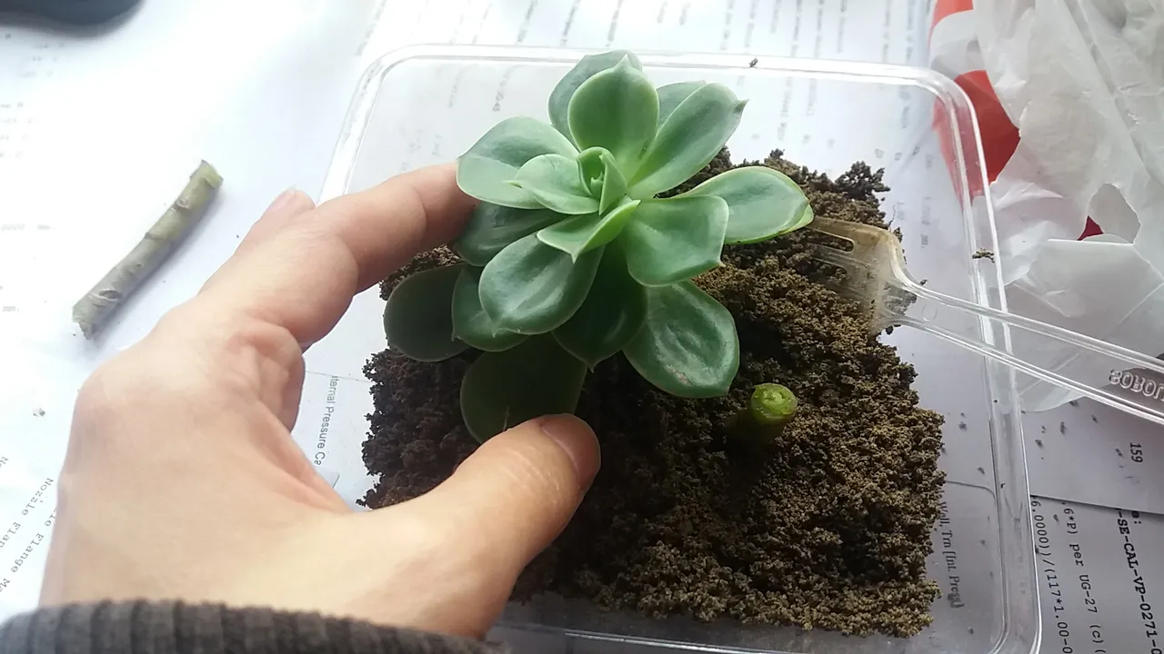 20190102_094004.jpg