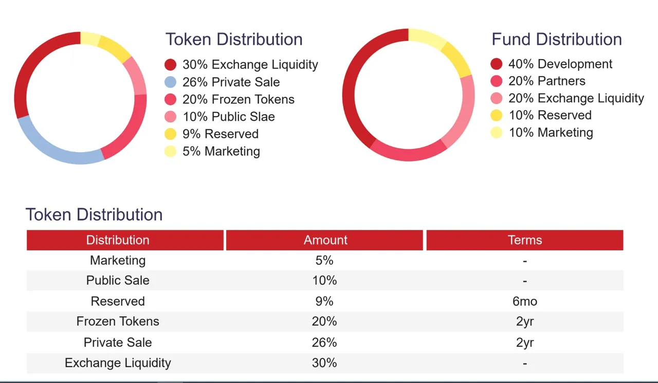 Tokenallocation.jpg