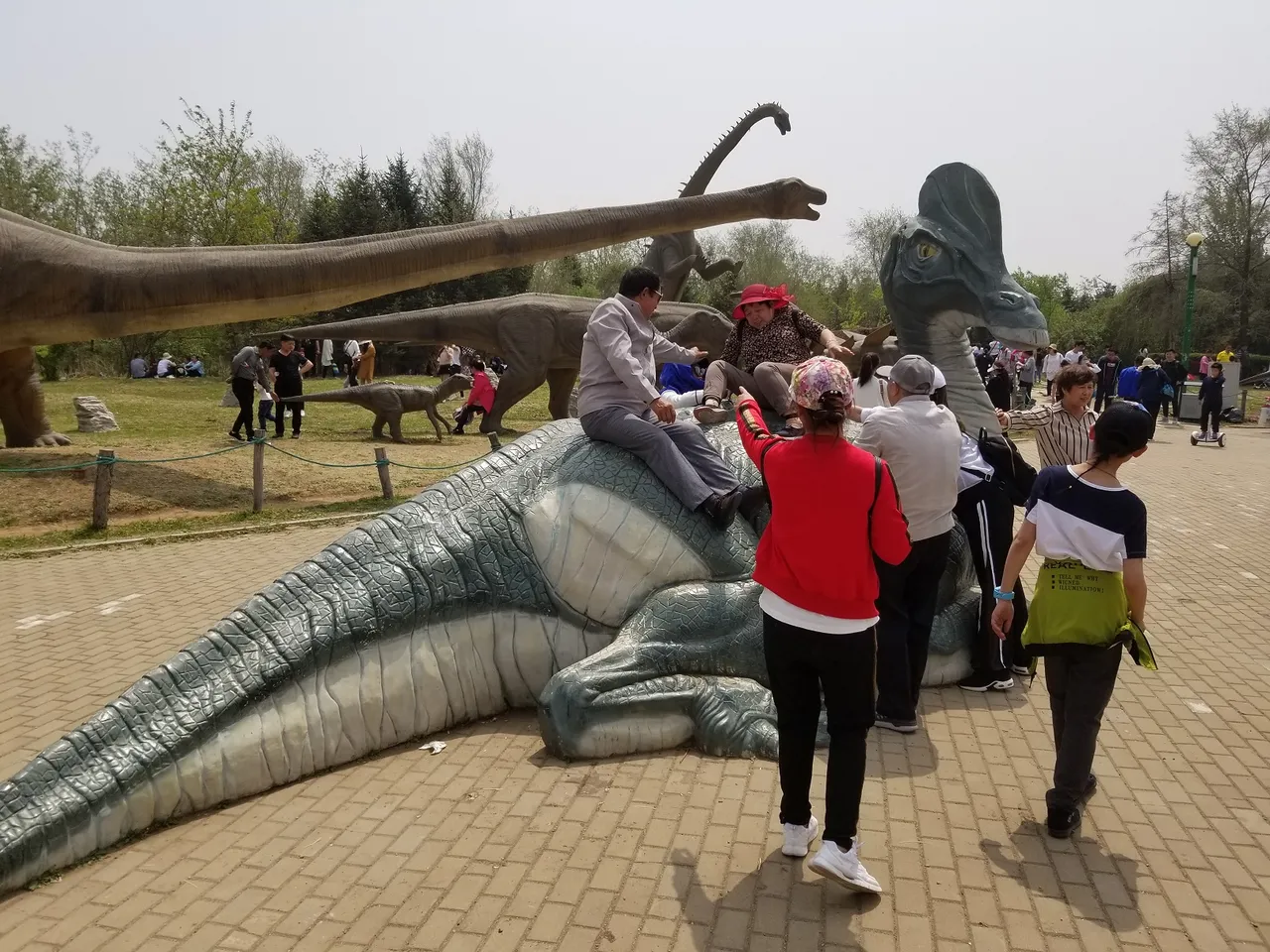 20180513_115100.jpg
