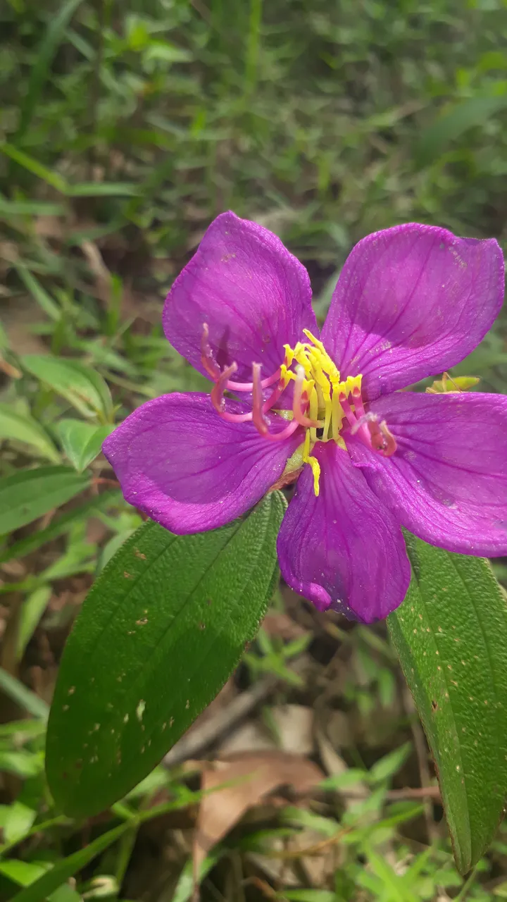 20190522_124809.jpg