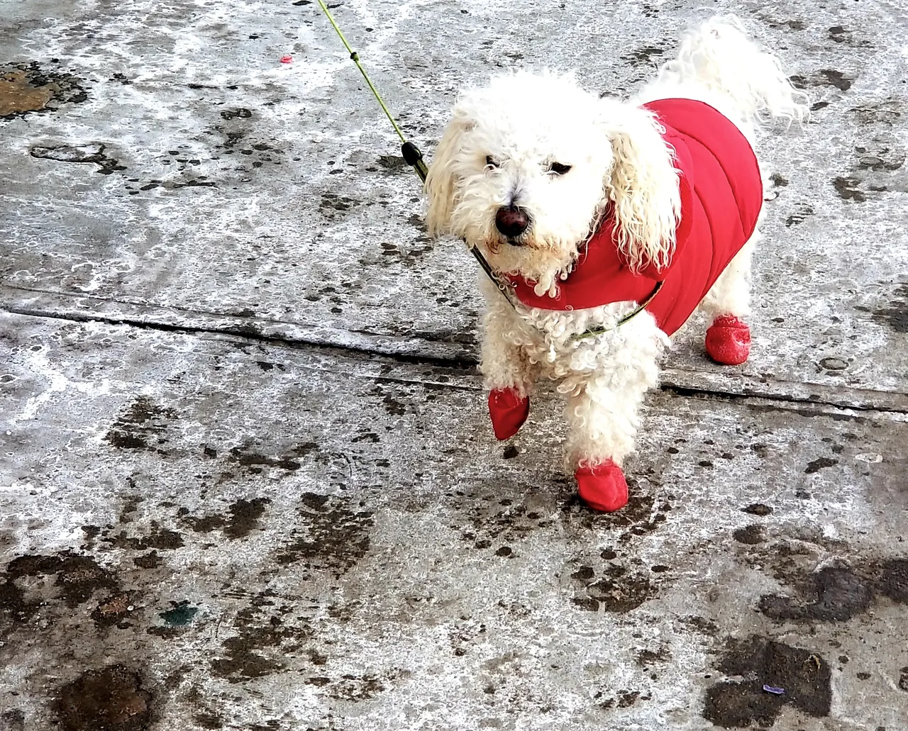 20190109_203708.jpg