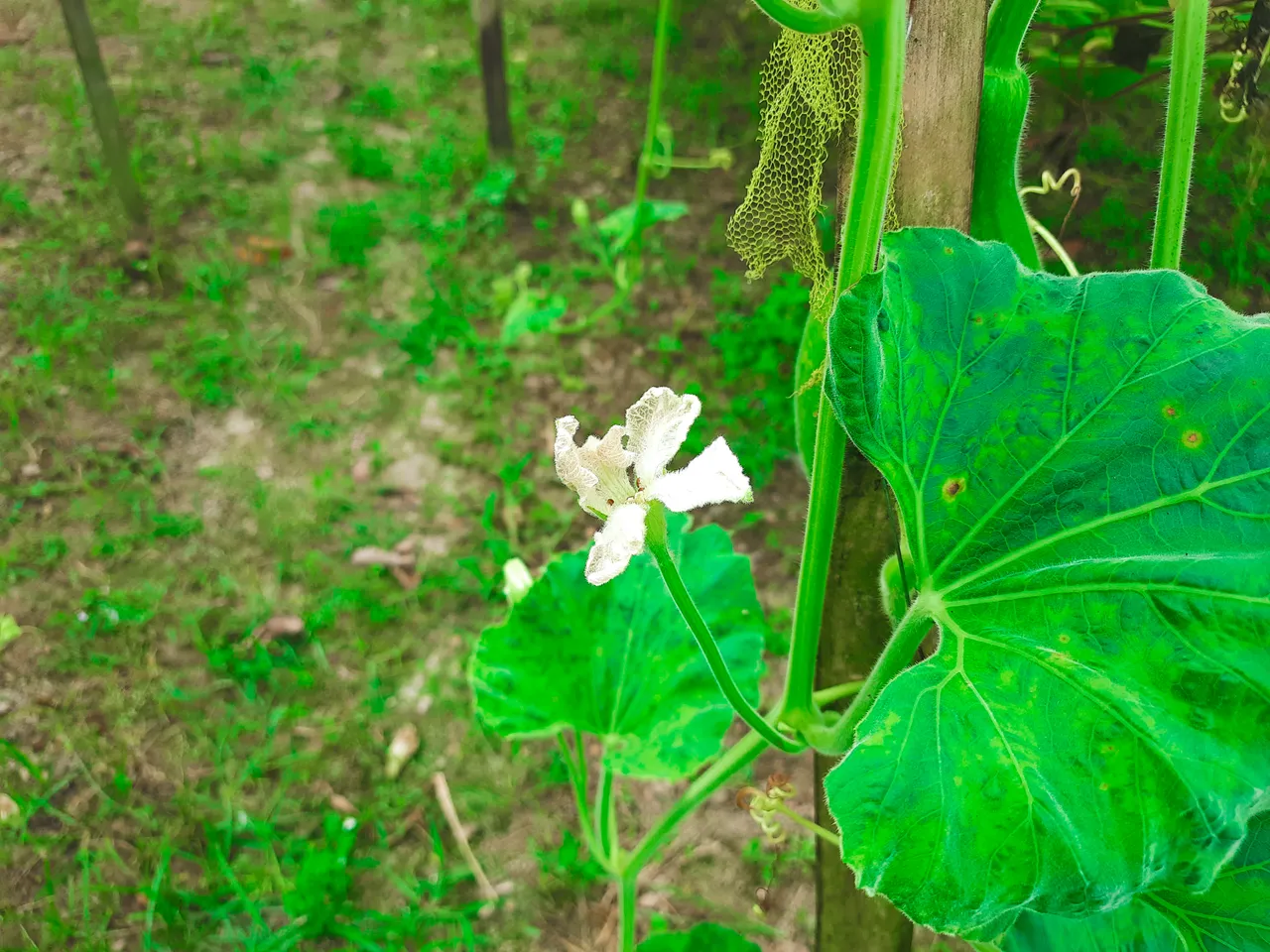 20210930_102917.jpg