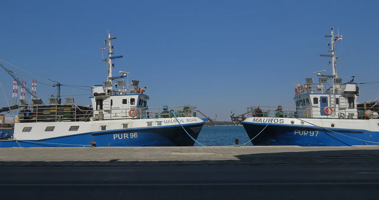 IMG_1827 malo.jpg