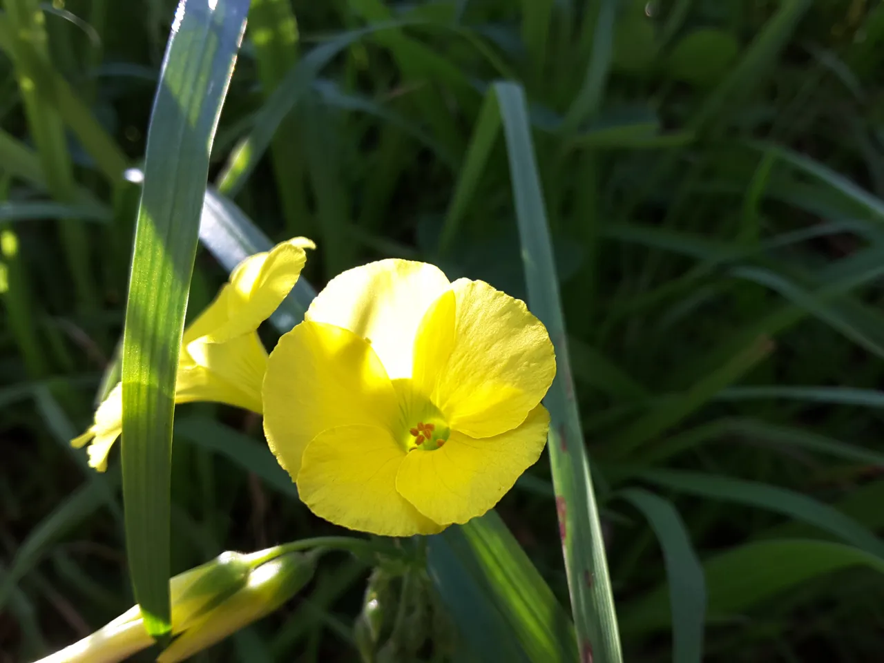 20180825_141658.jpg