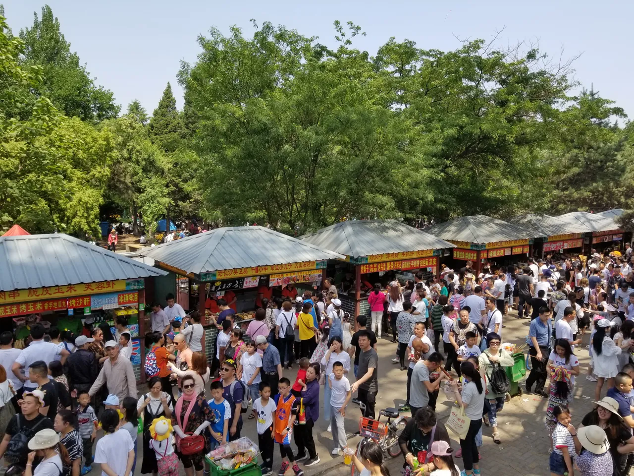 20180601_120244.jpg