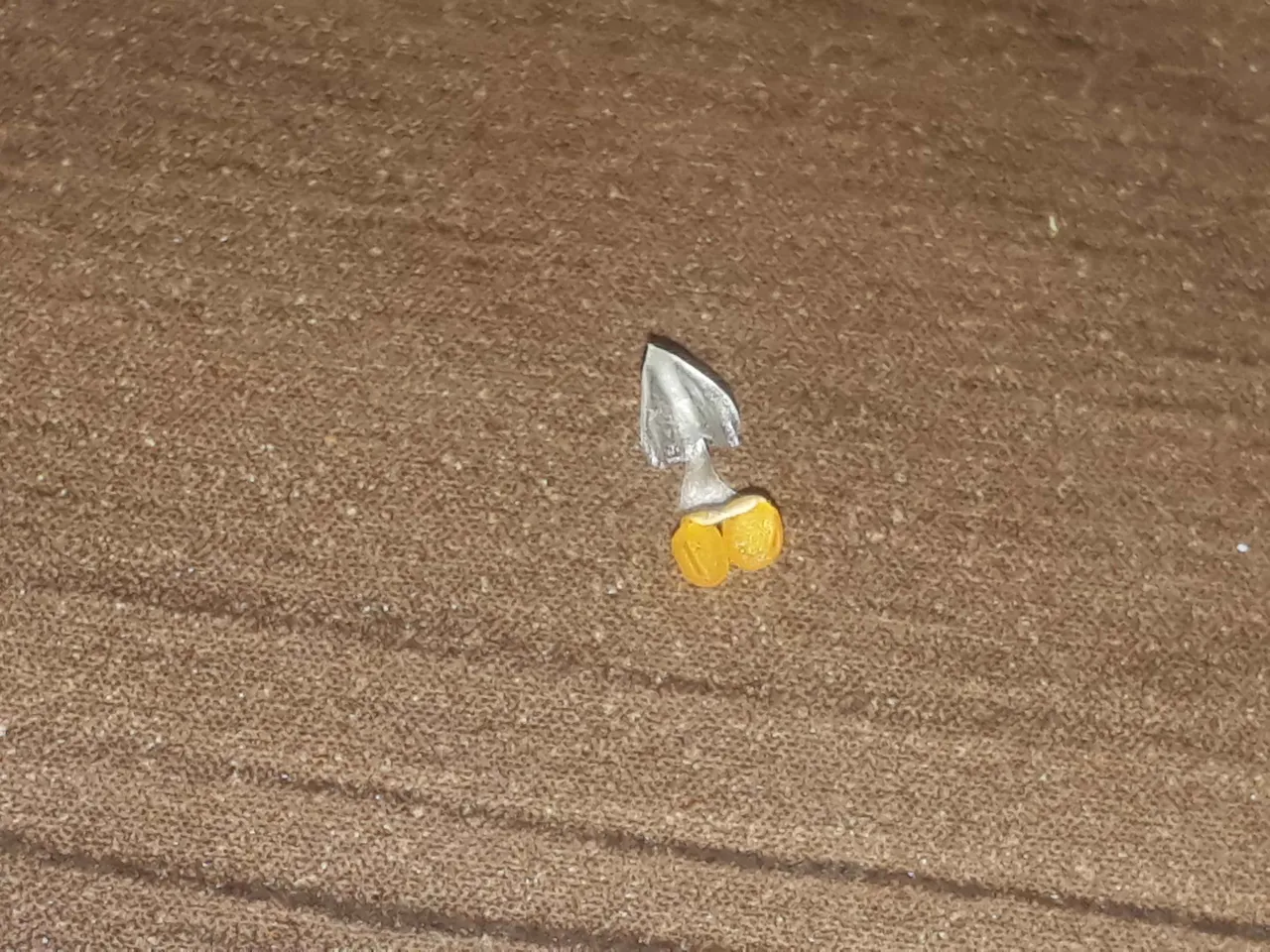 20191109_075611.jpg