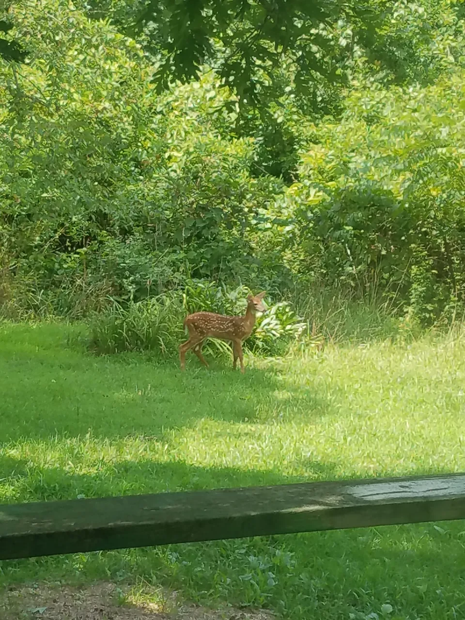 20180723_140807.jpg