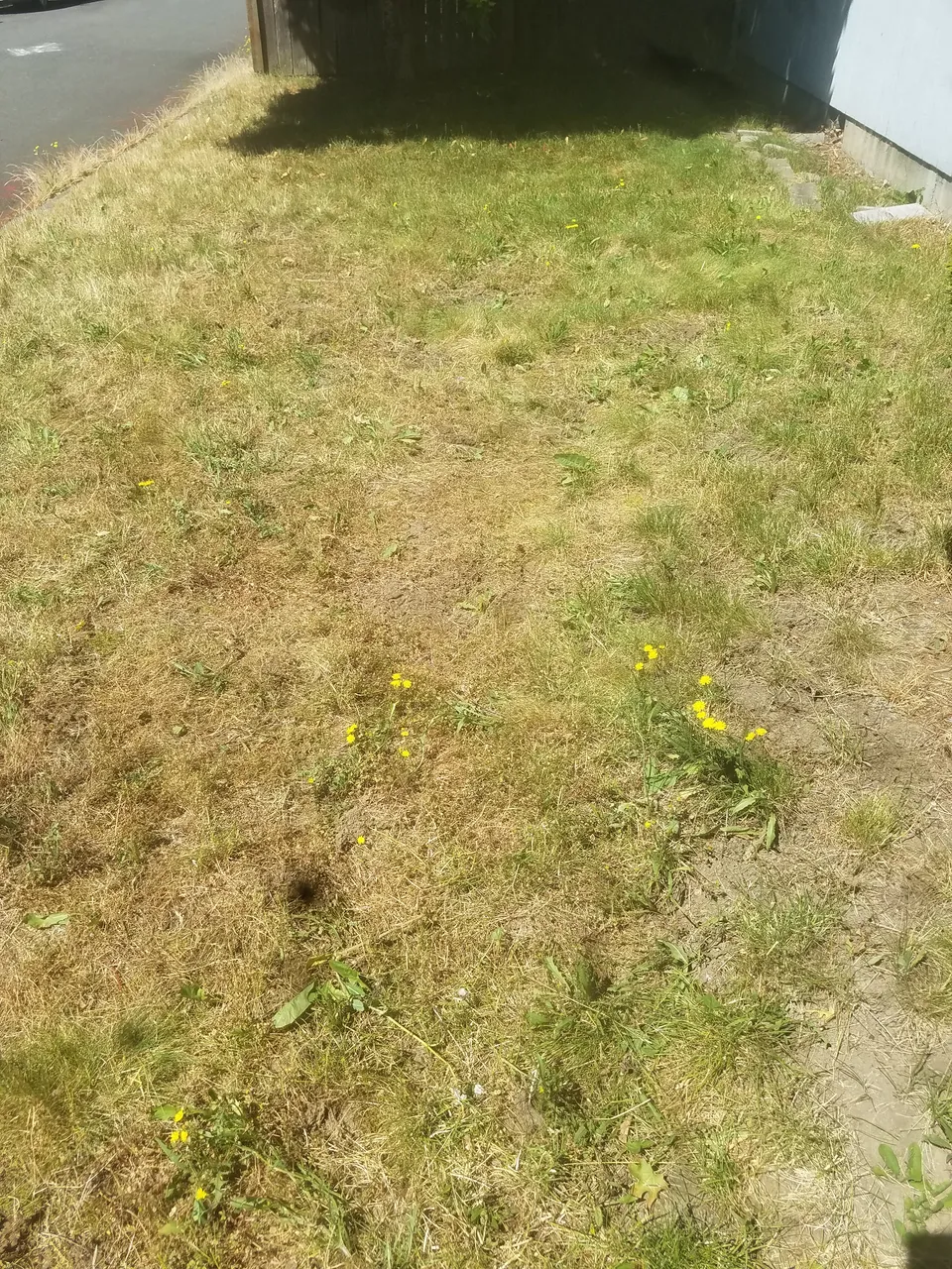 20180624_113625.jpg