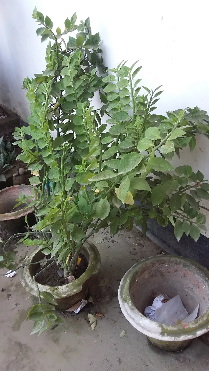 20181031_150749.jpg