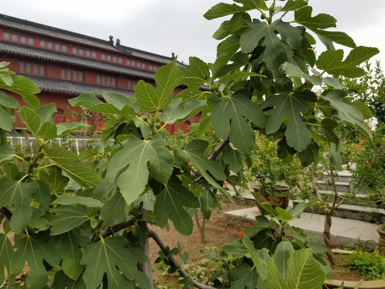 20180617_100202.jpg