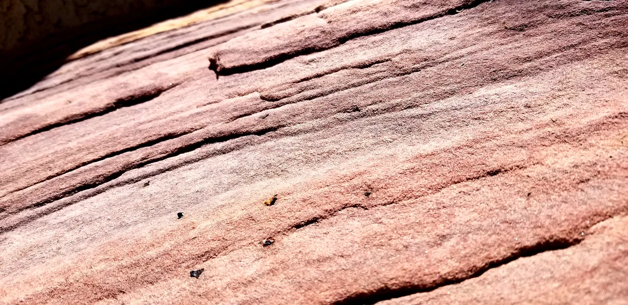20180618_112019.jpg