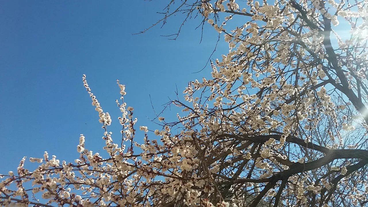 20190319_145117.jpg