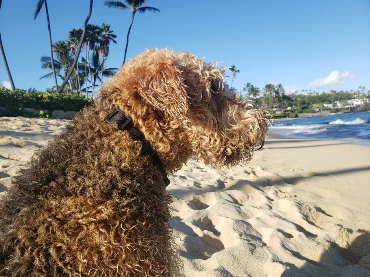 20190609_173324.jpg